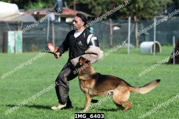 IMG_6403.jpg