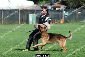 IMG_6411.jpg