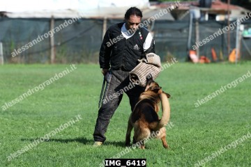 IMG_6419.jpg
