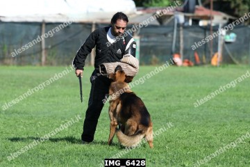 IMG_6428.jpg