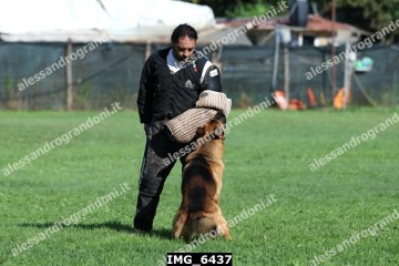 IMG_6437.jpg