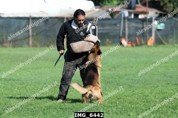 IMG_6442.jpg