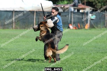 IMG_6451.jpg