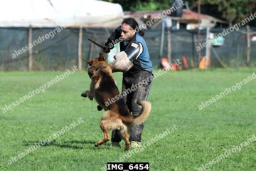 IMG_6454.jpg