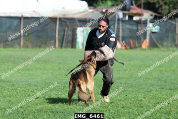 IMG_6461.jpg