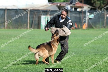 IMG_6464.jpg