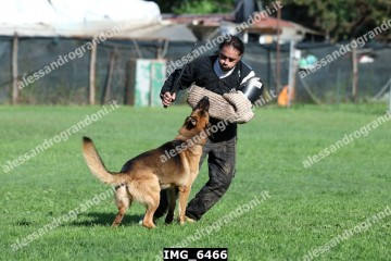 IMG_6466.jpg