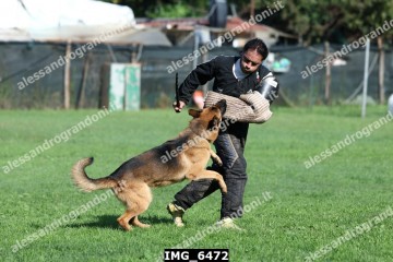 IMG_6472.jpg