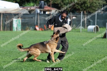IMG_6479.jpg