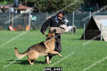 IMG_6482.jpg