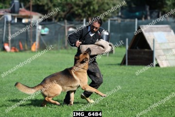 IMG_6484.jpg
