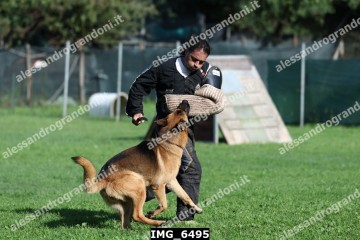 IMG_6495.jpg