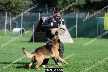 IMG_6500.jpg
