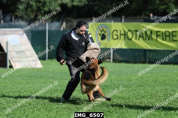 IMG_6507.jpg