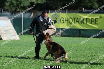 IMG_6511.jpg