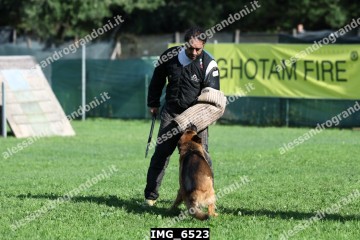 IMG_6523.jpg