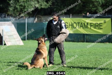 IMG_6543.jpg