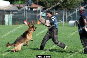 IMG_6585.jpg