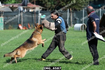IMG_6587.jpg
