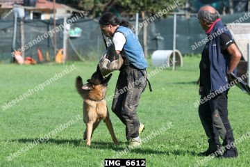 IMG_6612.jpg