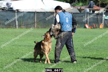 IMG_6672.jpg