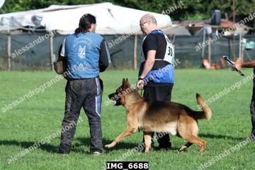 IMG_6688.jpg