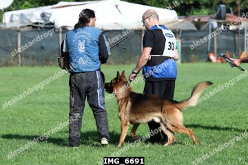 IMG_6691.jpg