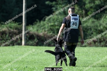 IMG_0250.jpg