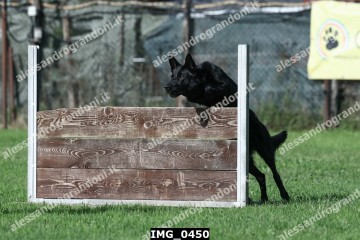 IMG_0450.jpg