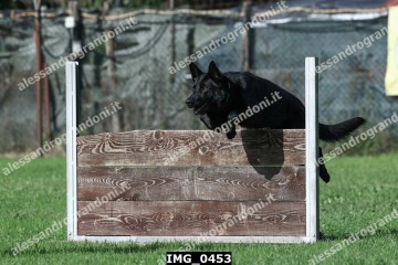 IMG_0453.jpg