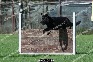 IMG_0455.jpg