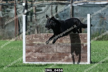 IMG_0456.jpg