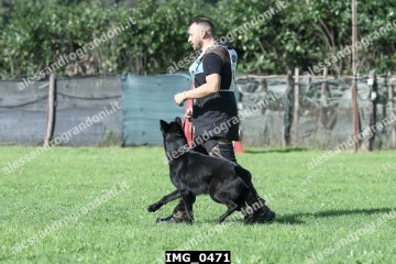 IMG_0471.jpg