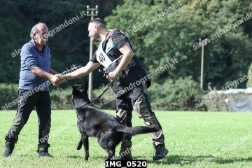 IMG_0520.jpg