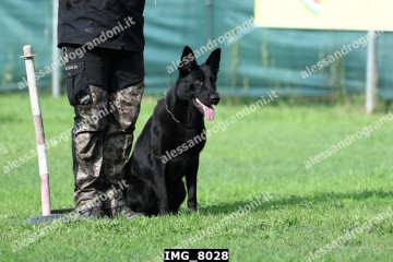IMG_8028.jpg