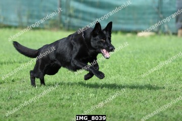 IMG_8039.jpg