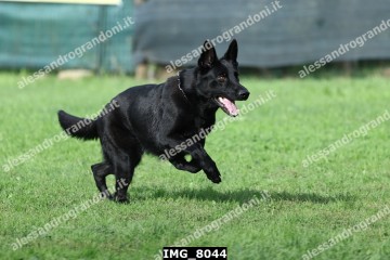 IMG_8044.jpg