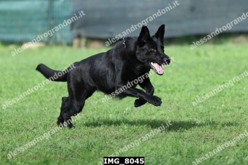 IMG_8045.jpg
