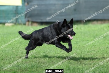 IMG_8046.jpg
