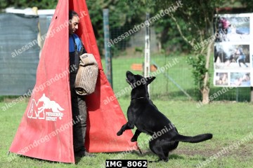 IMG_8062.jpg