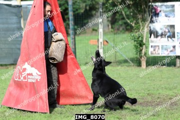 IMG_8070.jpg