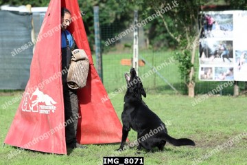 IMG_8071.jpg