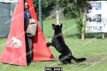 IMG_8083.jpg