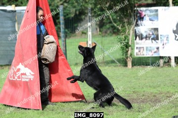 IMG_8097.jpg