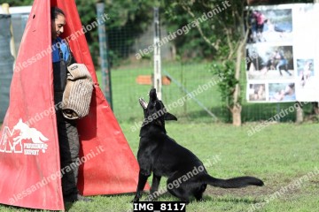 IMG_8117.jpg