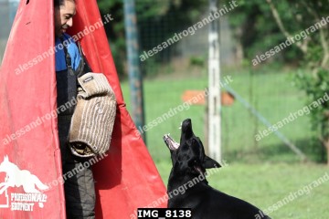 IMG_8138.jpg