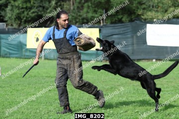 IMG_8202.jpg