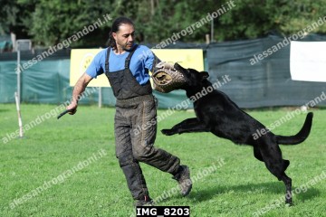 IMG_8203.jpg