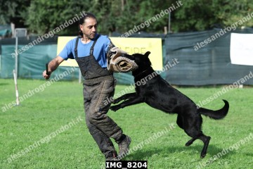 IMG_8204.jpg