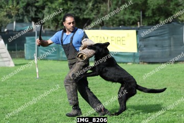 IMG_8206.jpg